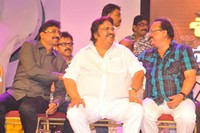 Sobhan Babu Vajrotsava Veduka Photos